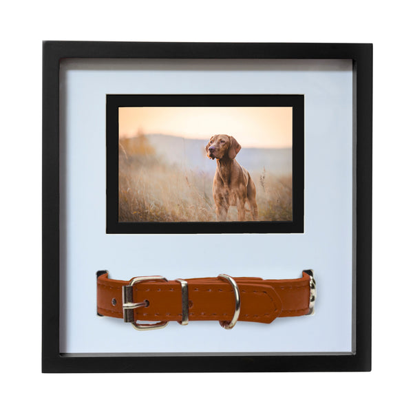 Memorial Photo Frame w/ Collar Display - 11" x 11"
