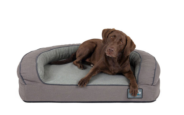 Memory Foam Bolster Dog Bed